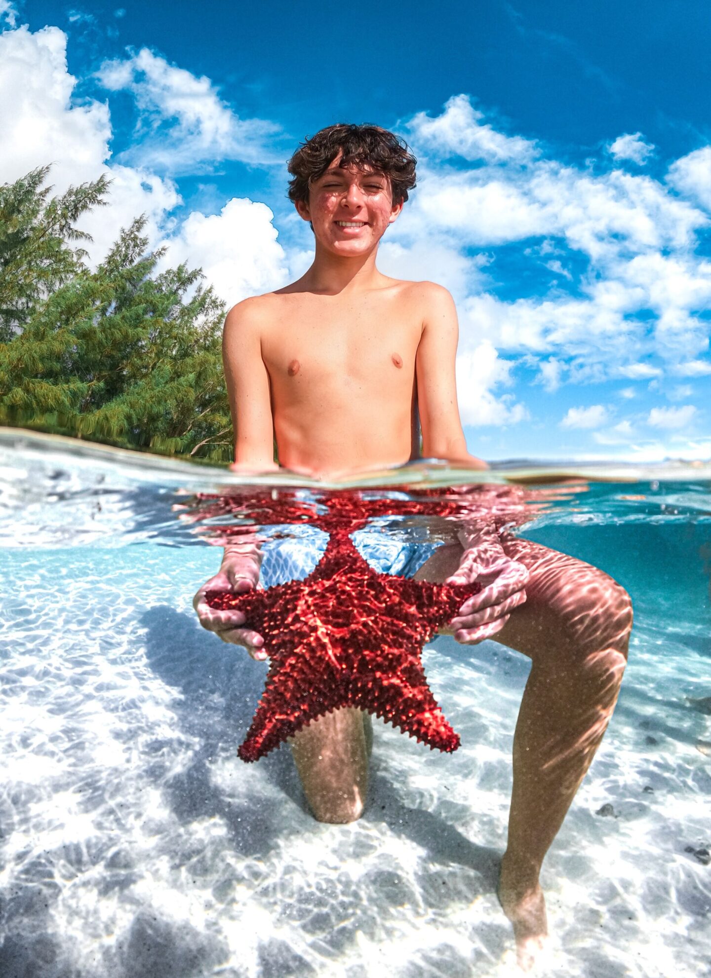 TYMAN'S BOAT CHARTER starfish | Harbour Island Bahamas Trip